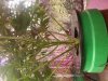 20150328_001746.jpg