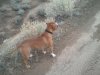 2011-02-06 13.41.51.jpg
