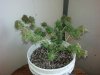 20150328_103551.jpg
