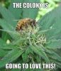 IMG_46888227142324.jpeg