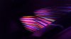 20150331_195617.jpg