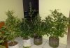 DSC00573.jpg