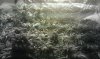 uploadfromtaptalk315974194735.jpg
