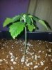 SODK x Ripleys 1 day 11 (3).jpg