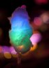 glow-in-the-dark-cotton-candy.jpg