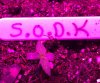 4.8.jpeg