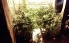 20150407_104650.jpg