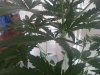 20150409_141957.jpg