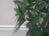 20150409_141718.jpg
