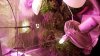 20150410_192855.jpg