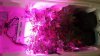 20150416_231633.jpg