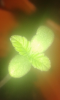 uploadfromtaptalk1429311704890.png
