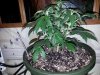 20150418_010934.jpg