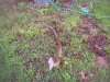 100_5315.jpg