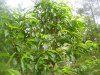 100_5255.jpg
