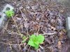 100_5257.jpg