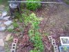 100_5259.jpg
