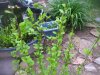100_5261.jpg