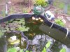 100_5264.jpg