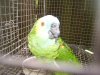 100_5289.jpg