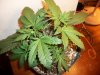 100_0352.jpg