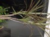 DSCF6548.jpg
