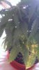 uploadfromtaptalk1429724085527.jpg uploadfromtaptalk1429724085527.jpg