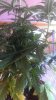 uploadfromtaptalk1429724139178.jpg uploadfromtaptalk1429724139178.jpg
