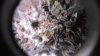 DSCF0103.jpg