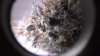 DSCF0104.jpg