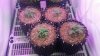 20150424_191451.jpg