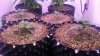 20150424_191509.jpg