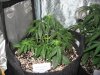 IMG_0714.jpg