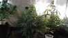 DSCF0277.JPG