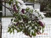 DSCN3410.JPG