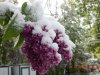 DSCN3412.JPG