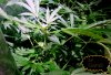 20150517_101851.JPG