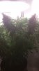 20150518_074145.jpg