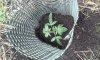 20150514_133239.jpg