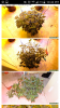 uploadfromtaptalk1432158786433.png