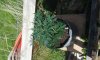 20150523_121058.jpg