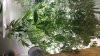 20150525_172122.jpg