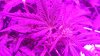 20150527_211149.jpg