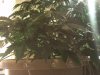 IMG_20120203_193552.jpg