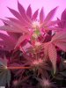 20120204_225754.jpg 20120204_225754.jpg