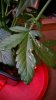 WP_20150601_17_22_50_Pro.jpg