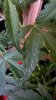WP_20150601_17_22_22_Pro.jpg