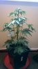 WP_20150601_17_24_59_Pro.jpg