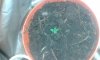 20150603_101042.jpg