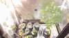 DSCF0543.JPG